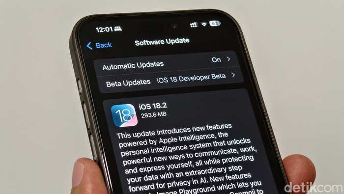 iOS 18.2: Cara Download, Fitur Baru, dan iPhone yang Kompatibel