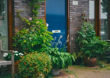 5 Cara Mendesain Taman Alergi yang Indah dan Menarik Tanpa Mengorbankan Bunga